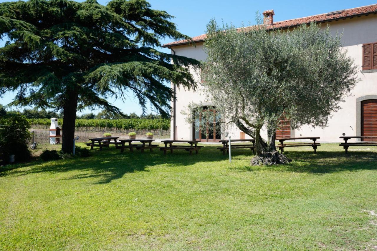 Agriturismo Vigna Sul Lago Montefiascone Exterior photo